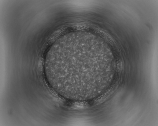 X0000111580757200908131319