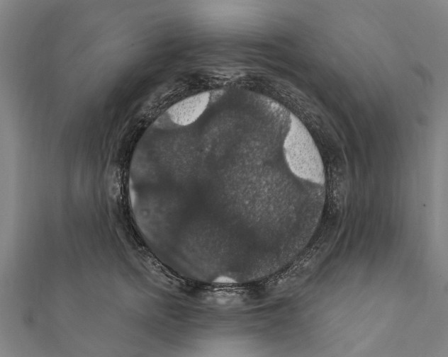 X0000111580758200908131319