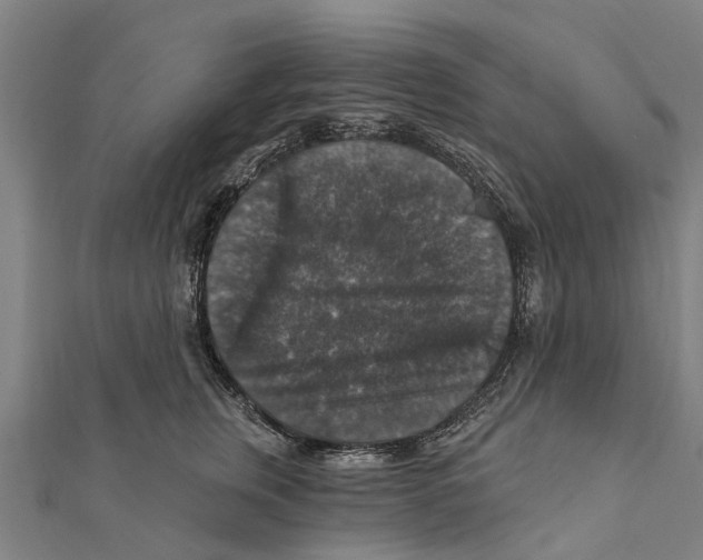 X0000111580759200908131319