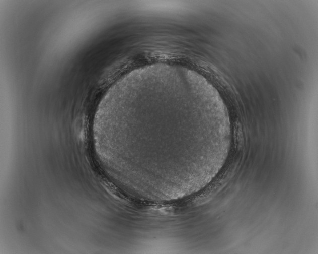 X0000111580760200908131319