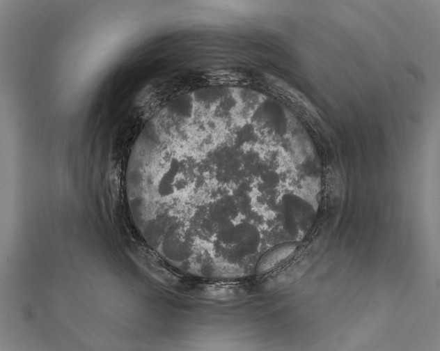 X0000111580761200908131319