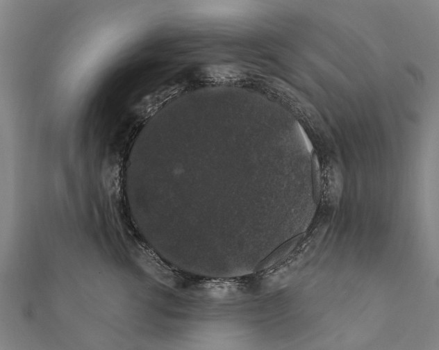 X0000111580762200908131319