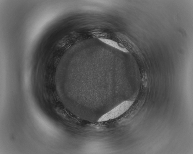 X0000111580763200908131319