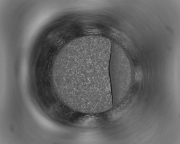 X0000111580764200908131319