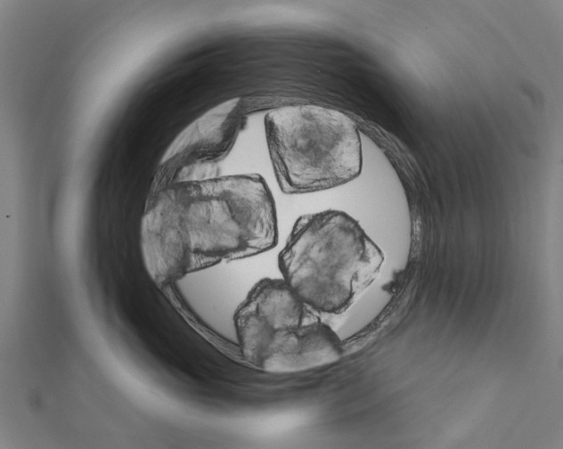 X0000111580765200908131319