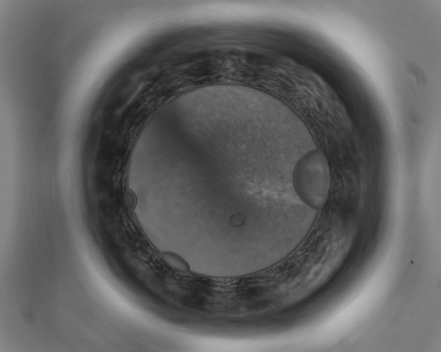 X0000111580766200908131319