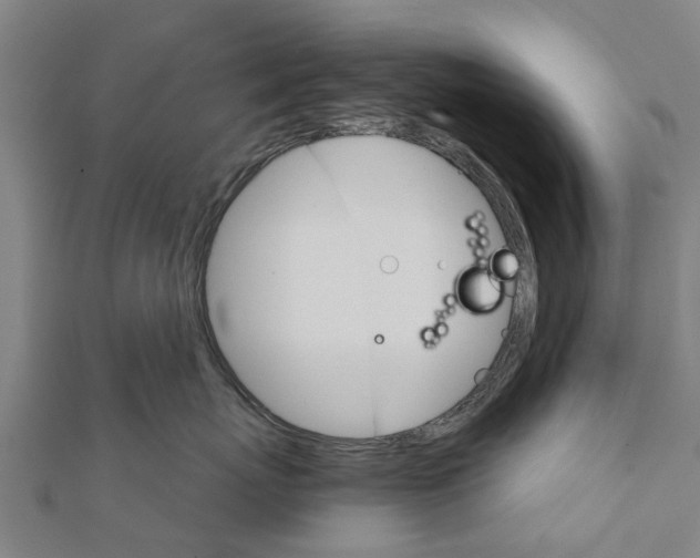 X0000111580767200908131319