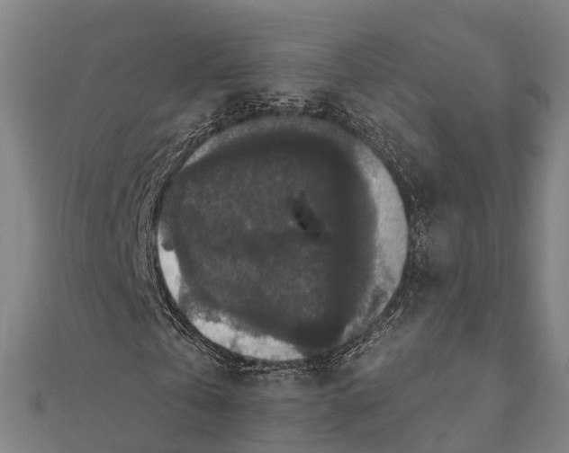 X0000111580769200908131318