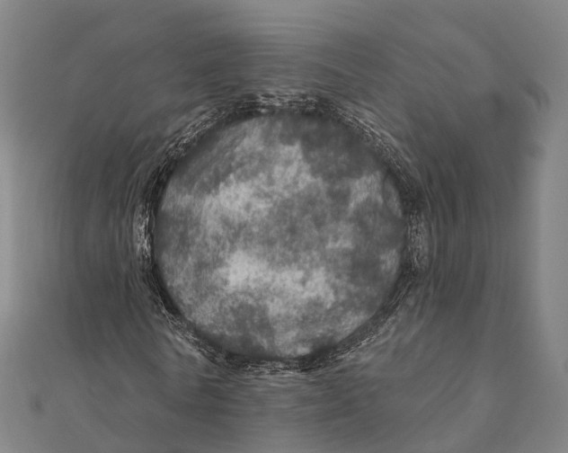 X0000111580770200908131318