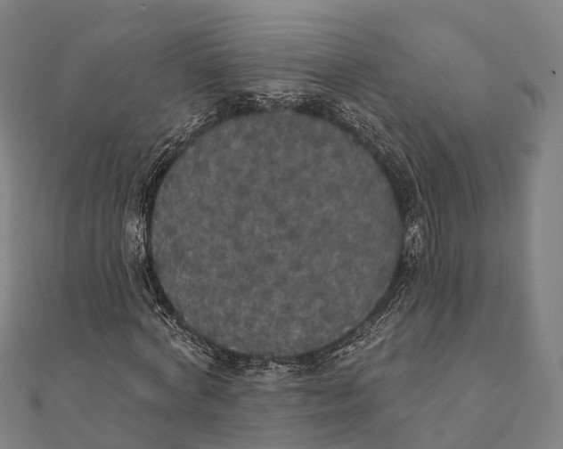 X0000111580772200908131318