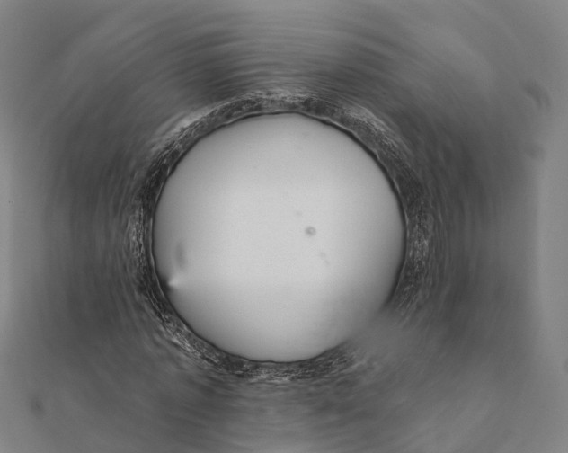 X0000111580773200908131318