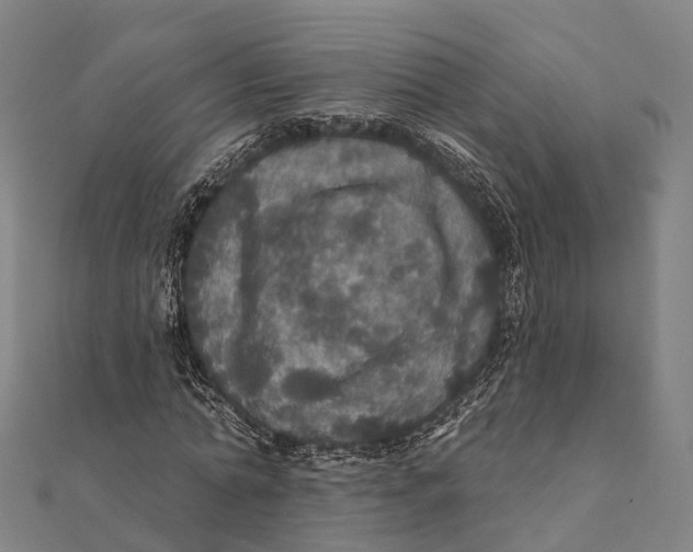 X0000111580774200908131318