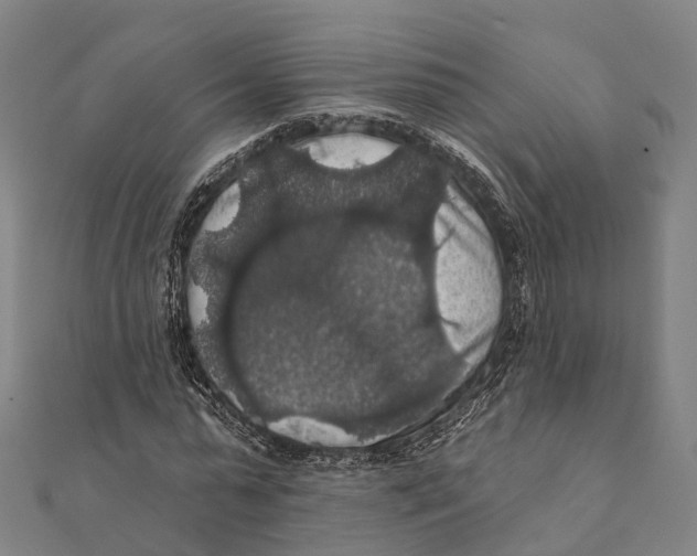 X0000111580775200908131318