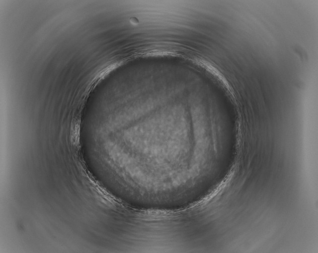 X0000111580777200908131318