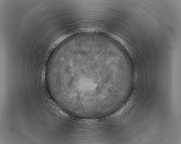 X0000111580778200908131318