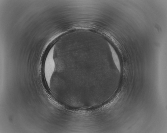 X0000111580779200908131318