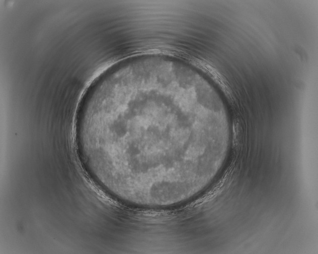 X0000111580780200908131318