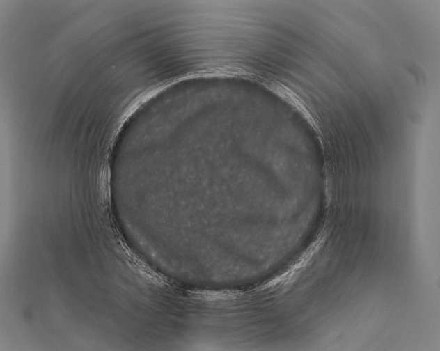 X0000111580781200908131318