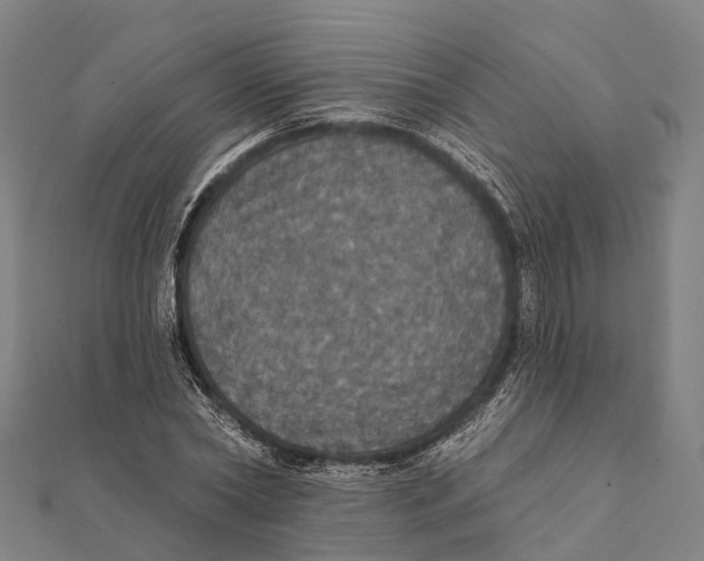 X0000111580782200908131318