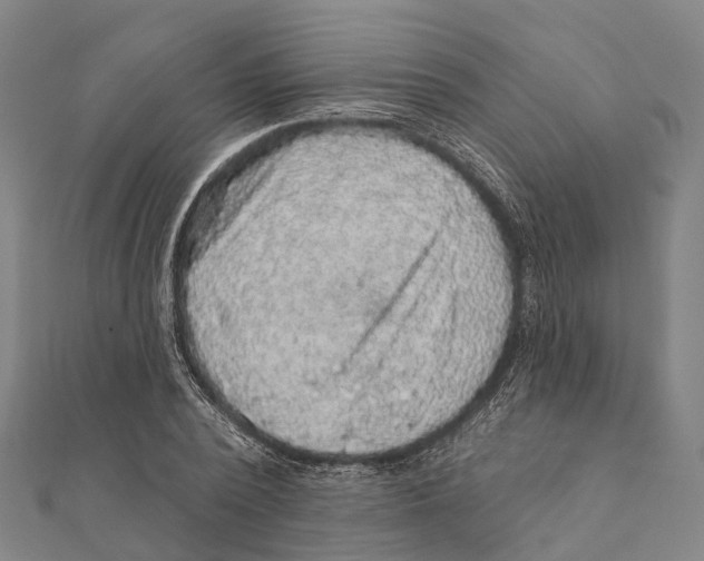 X0000111580784200908131318