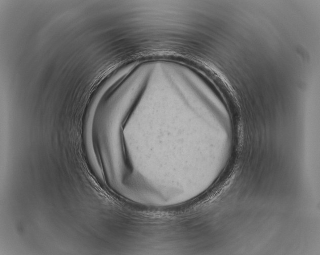 X0000111580785200908131318