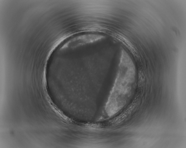 X0000111580788200908131318