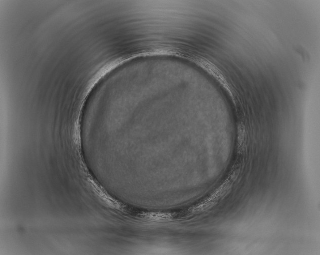 X0000111580789200908131318