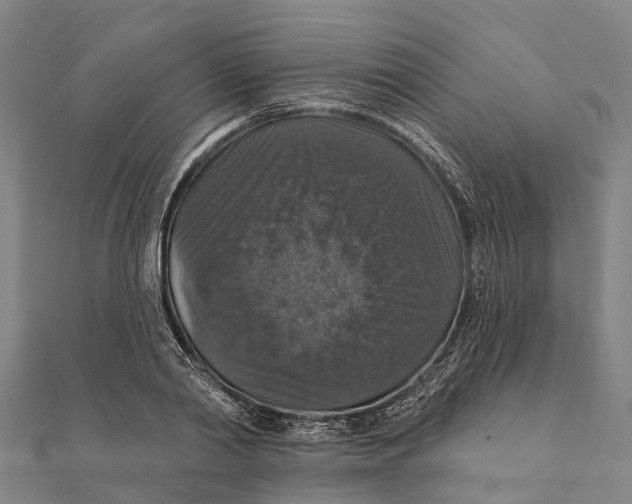 X0000111580790200908131318