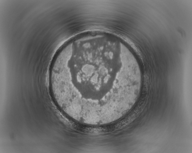 X0000111580791200908131318