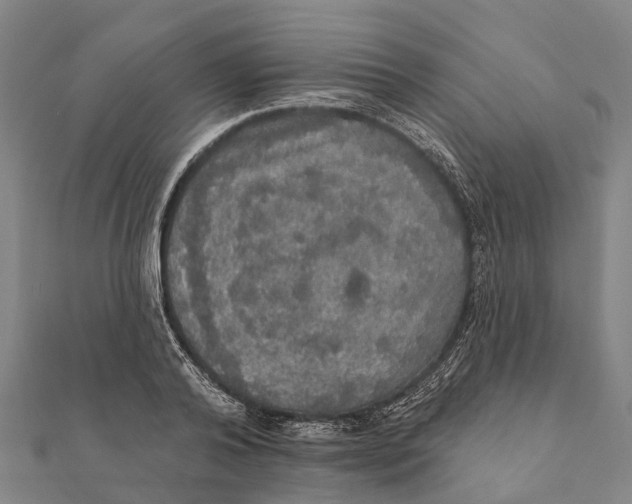 X0000111580792200908131318