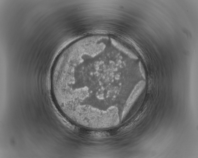 X0000111580795200908131318