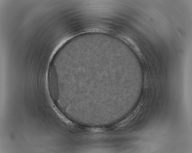 X0000111580796200908131318