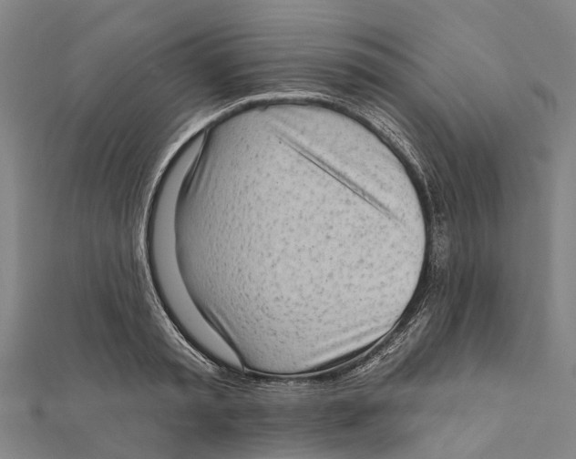 X0000111580797200908131318