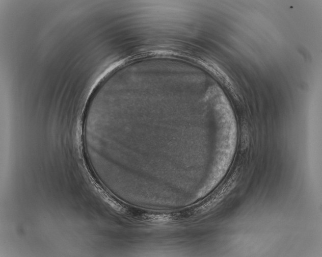 X0000111580798200908131318