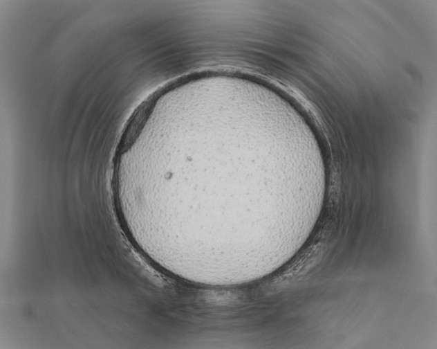 X0000111580799200908131317