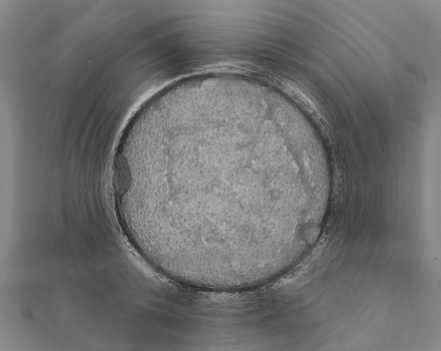 X0000111580800200908131317