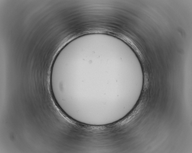 X0000111580802200908131317