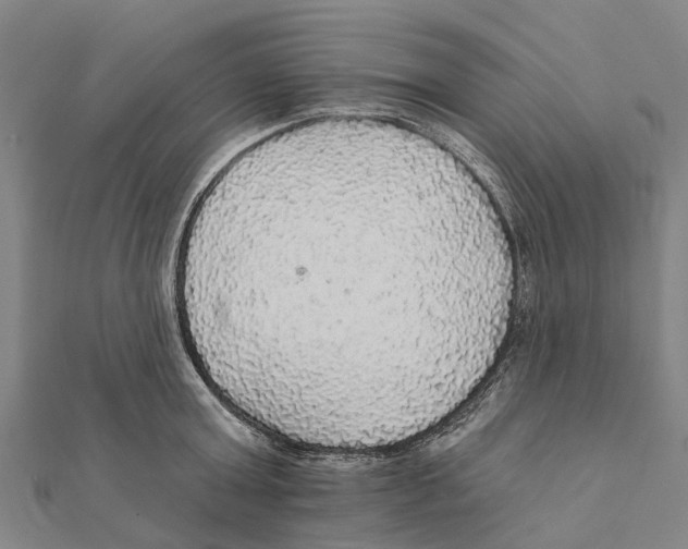 X0000111580803200908131317