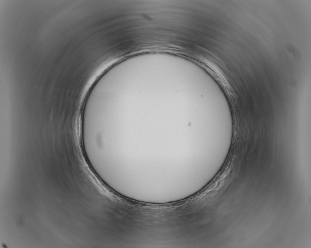 X0000111580804200908131317