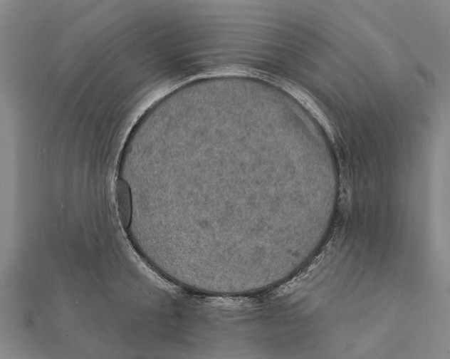 X0000111580805200908131317