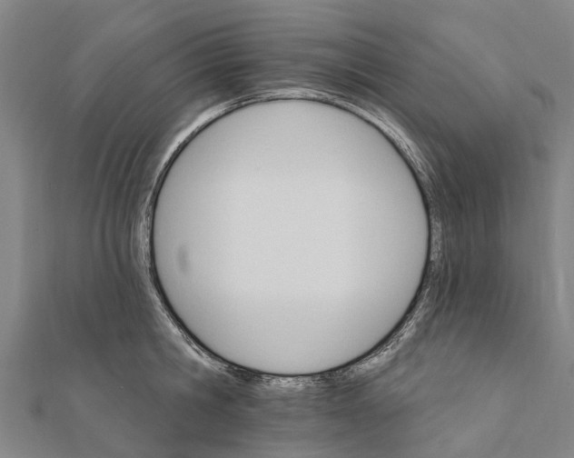 X0000111580806200908131317