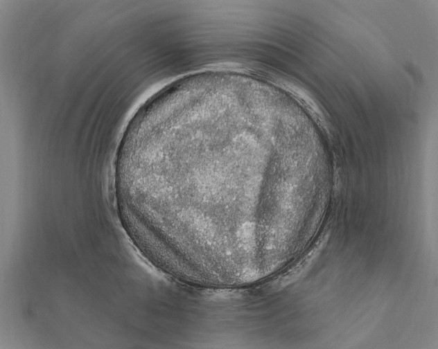 X0000111580808200908131317