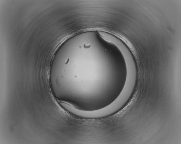 X0000111580809200908131317