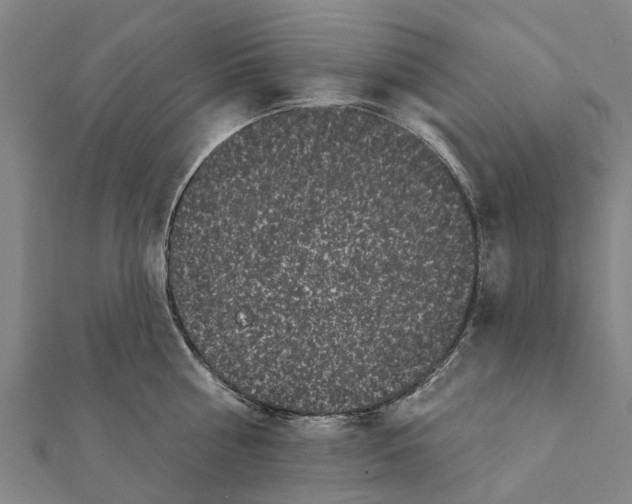 X0000111580810200908131317