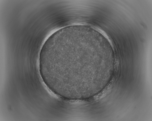 X0000111580811200908131317