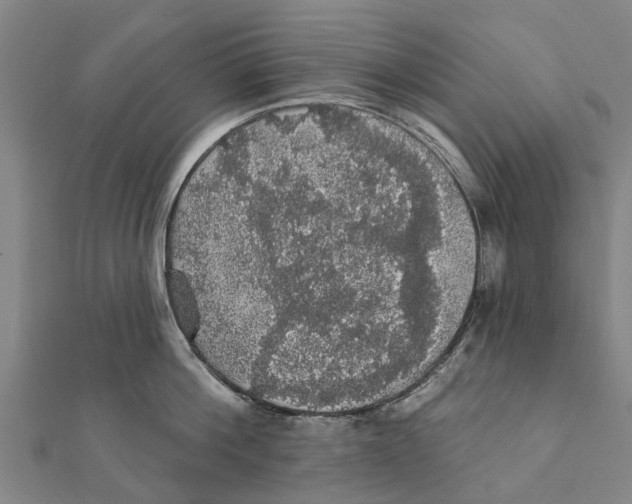 X0000111580812200908131317