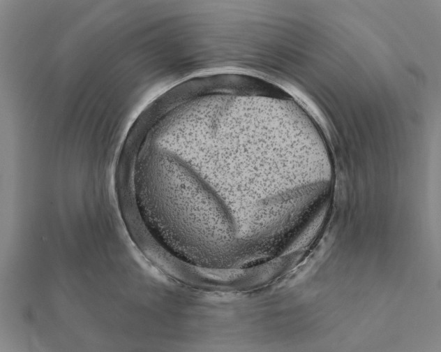 X0000111580813200908131317