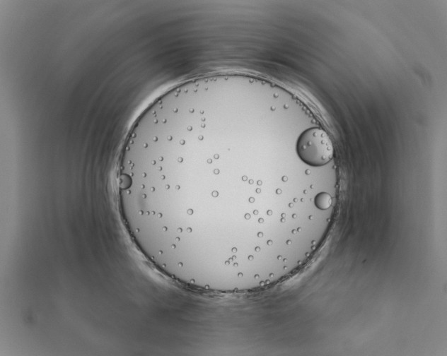 X0000111580814200908131317