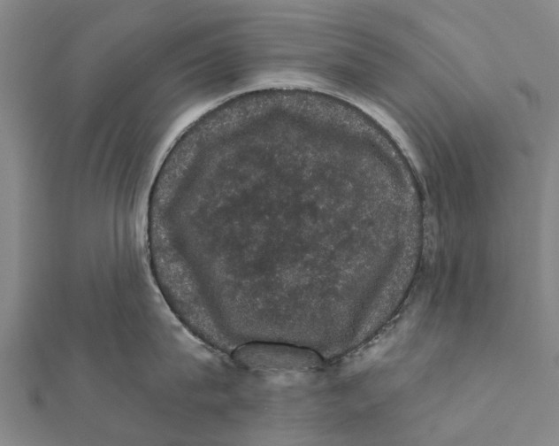 X0000111580815200908131317