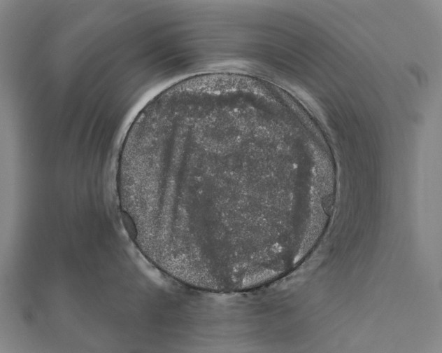 X0000111580816200908131317